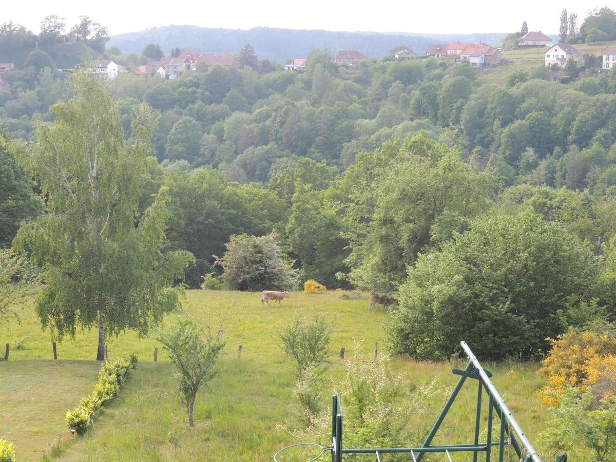 Au Chalet Bain Nordique Neuf Independant Calme Assure Haselbourg Екстер'єр фото